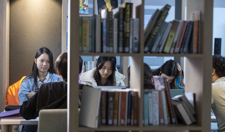 Image_OICB_Brighton_2023_11