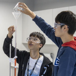 Advanced Learning Environments