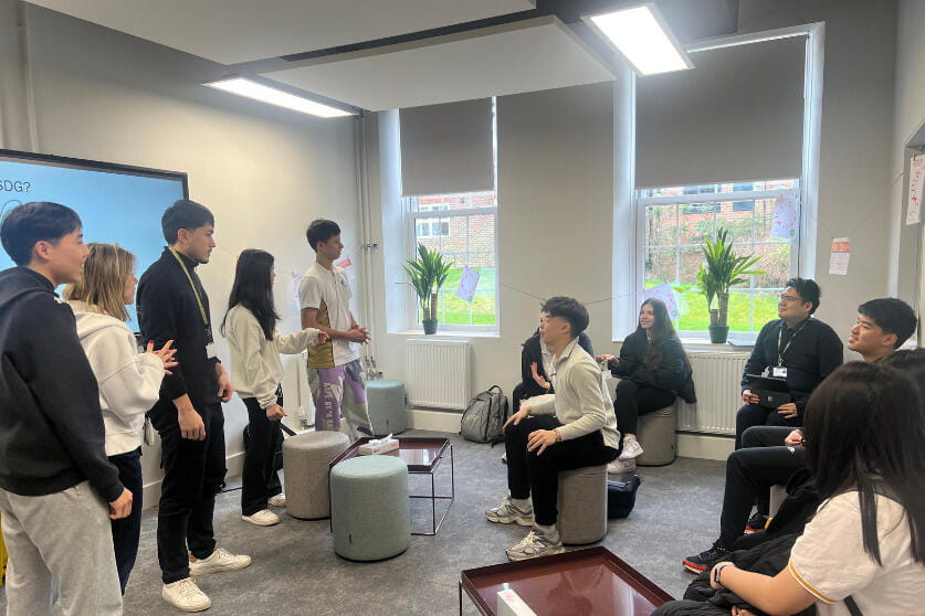 Untitled design (19)