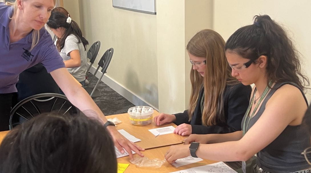 Untitled design 44jpg