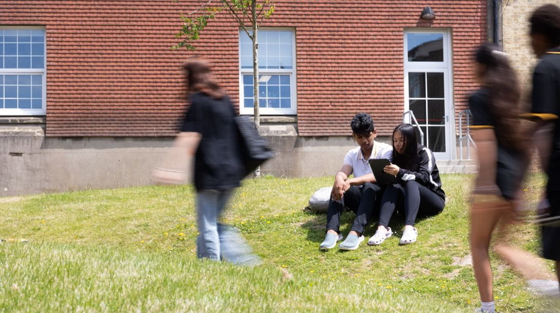 Untitled design 36jpg