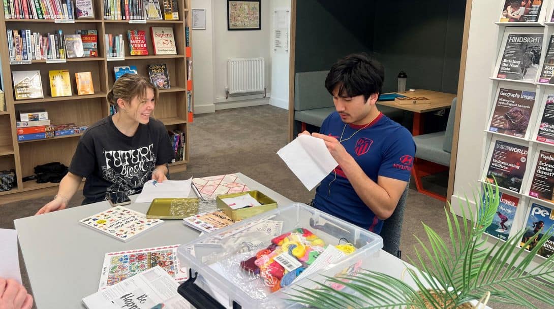 Stitching in peacock roomjpg