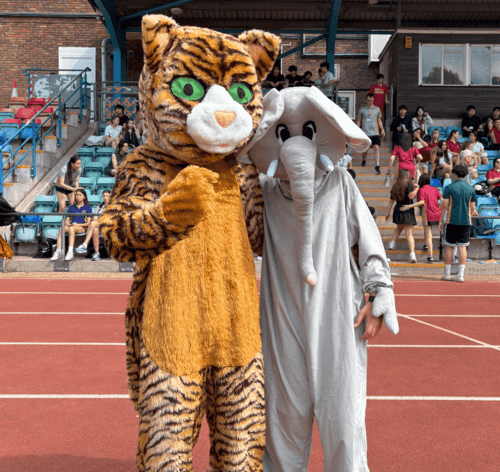 Day of Spirit, Sport, and Unity | OIC Brighton - Day of Spirit Sport and Unity