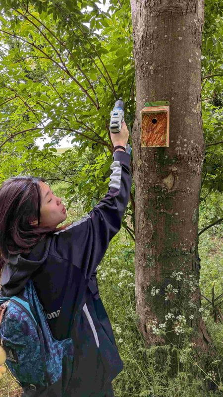 Supporting Local Wildlife Through Student-Led Action | OIC Brighton - Supporting Local Wildlife Through Student Led Action
