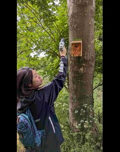 Supporting Local Wildlife Through Student-Led Action | OIC Brighton - Supporting Local Wildlife Through Student Led Action