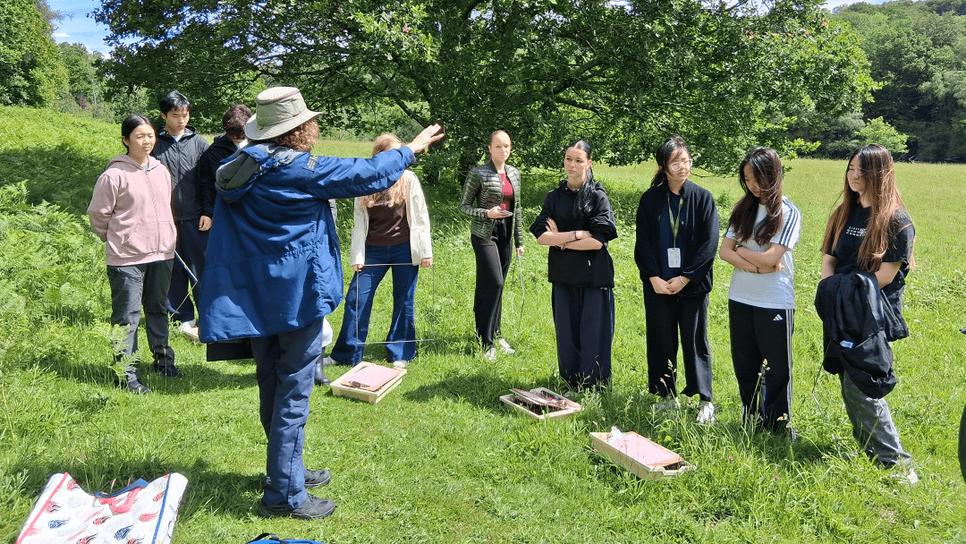 Fieldwork at Wakehurst Gardens: A Level Biology Students Explore Ecology in Action | OIC Brighton - Fieldwork at Wakehurst Gardens