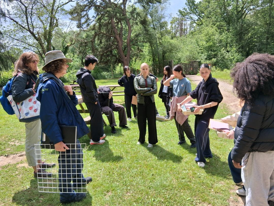 Fieldwork at Wakehurst Gardens: A Level Biology Students Explore Ecology in Action | OIC Brighton - Copy of Carousel For News Detail - OIC