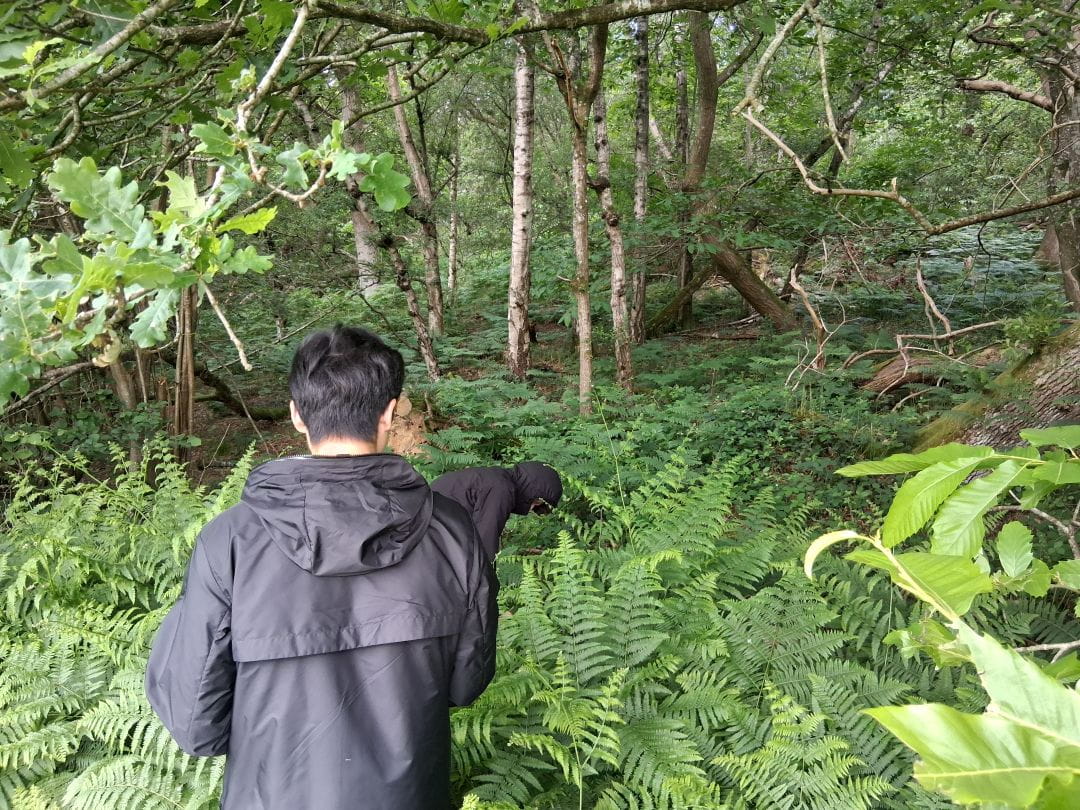 Fieldwork at Wakehurst Gardens: A Level Biology Students Explore Ecology in Action | OIC Brighton - Copy of Carousel For News Detail - OIC