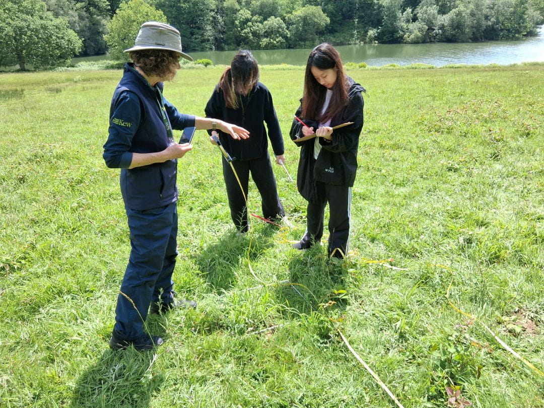 Fieldwork at Wakehurst Gardens: A Level Biology Students Explore Ecology in Action | OIC Brighton - Copy of Carousel For News Detail - OIC