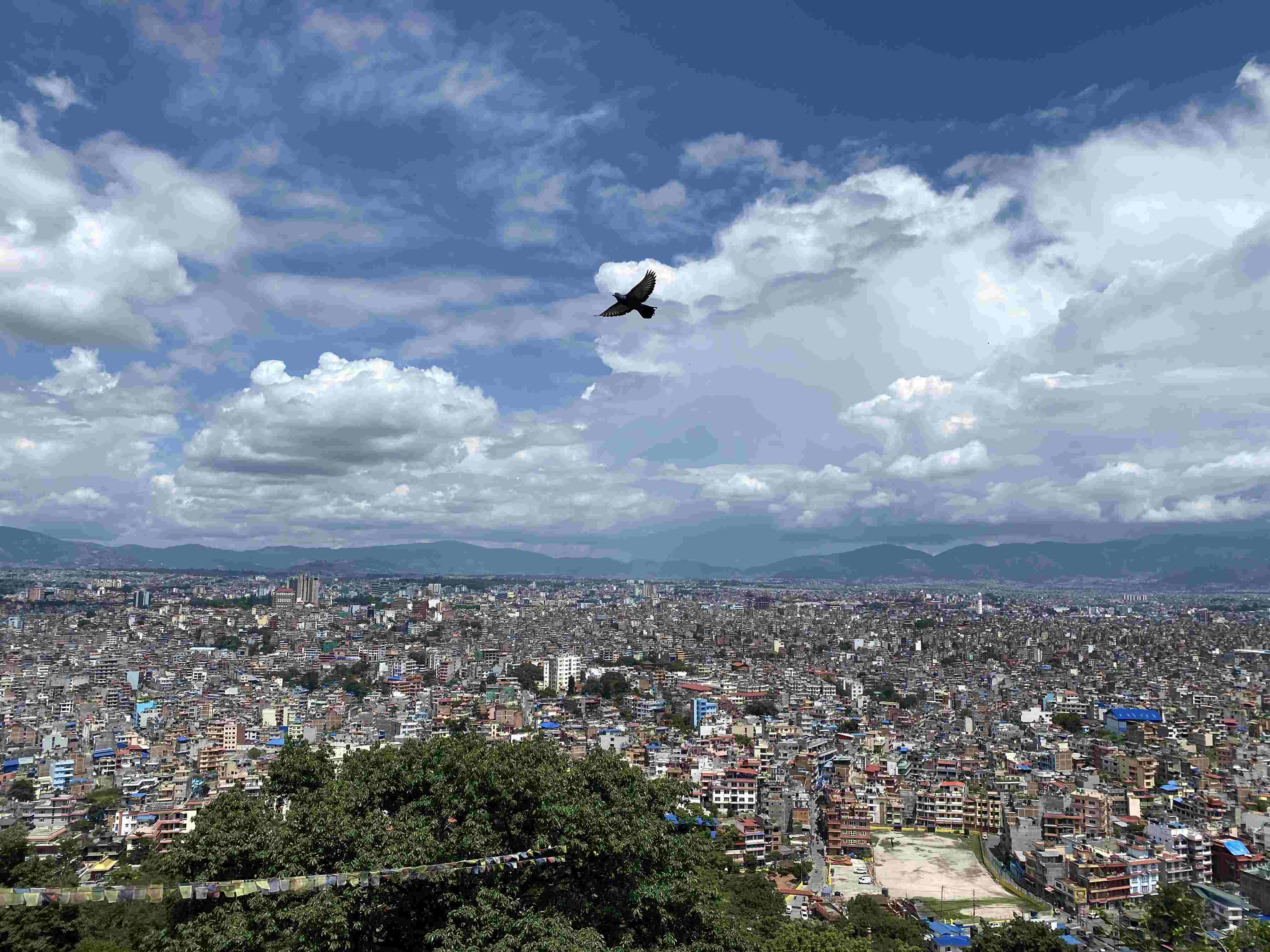 Conservation and connection in Nepal | OIC Brighton - Conservation and connection in Nepal