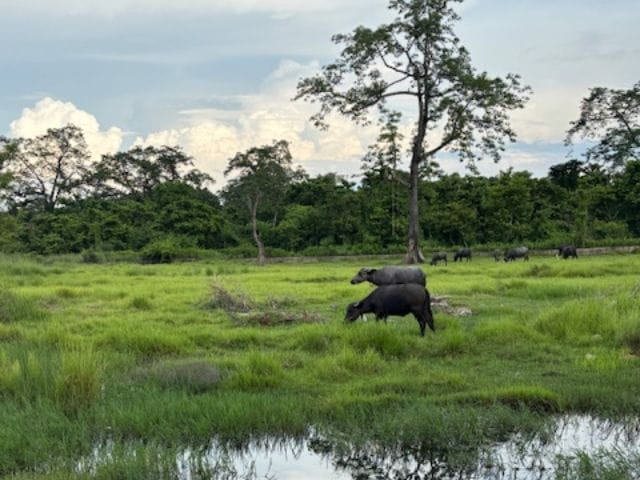Conservation and connection in Nepal | OIC Brighton - Conservation and connection in Nepal
