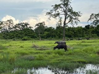Conservation and connection in Nepal | OIC Brighton - Conservation and connection in Nepal