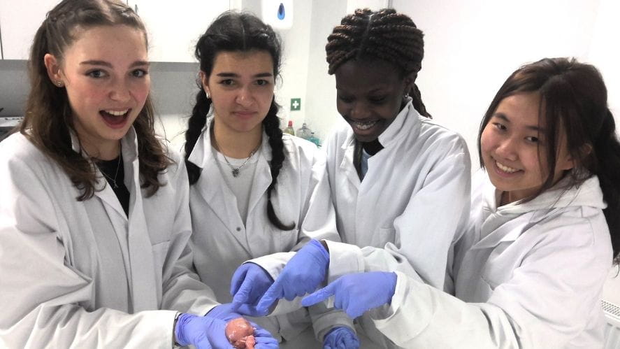 The Power of an International Education - The Power of an International Education